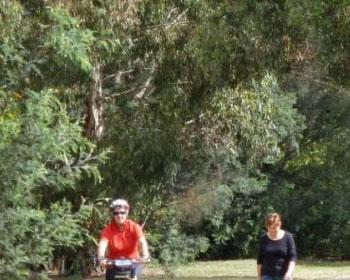 A person riding a bike and a person walking surrounded by trees