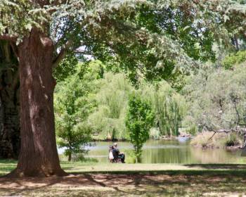 A picture with trees and greenery overlooking a lake which forms part of the Castlemaine Botanical Gardens Accessible Walk