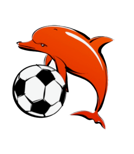 Hampton Dolphins FC